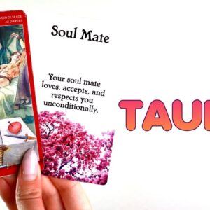 TAURUS: The Wait Is OVER! They're Going To Confess EVERYTHING To You!