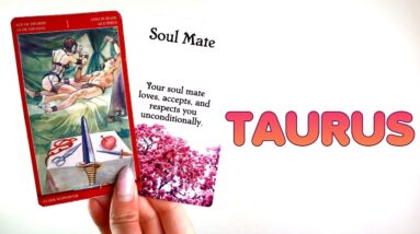 TAURUS: The Wait Is OVER! They're Going To Confess EVERYTHING To You!