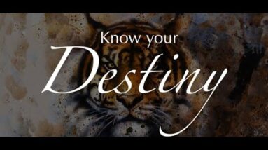 Know your Destiny - by Lady Casha