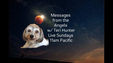 MERCURY RX, SATURN, PLUTO & JUPITER BEGIN TO STATION - Angels & Astrology w/ Teri Hunter