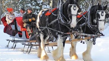 Sleigh in with Bells! Second Week December Forecast with Lori!