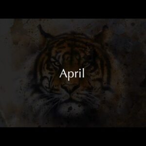 Lady Casha. Tarot 2022 - Personal Energies