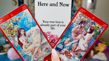 SCORPIO: “A WISH COMES TRUE!!” Mid April General Love Reading