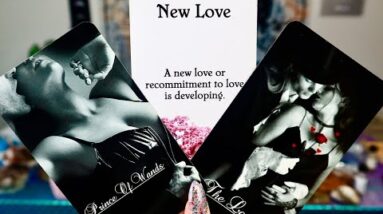 TAURUS:“THIS NEW LOVE WILL BE SOMETHING YOU’VE NEVER EXPERIENCED BEFORE!!” AUGUST LOVE TAROT READING