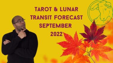 ♉️ TAURUS September 2022 Tarot |  “A METAMORPHOSIS happening!” | #reydianttaurus #septembertarot