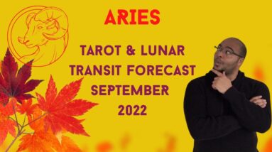 ♈️ ARIES September 2022 Tarot | “Taking your SWEET TIME!” | #septembertarot #reydiantaries