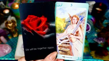 CAPRICORN: “YOU KNOW THIS ISN’T OVER, RIGHT?? THEY WILL BE BACK!!” SEPTEMBER LOVE TAROT READING
