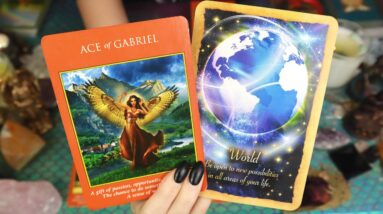 PISCES: "YOU'RE GOING TO BE SO HAPPY THAT YOU DIDN'T GIVE UP ON THIS!!” YOUR NOVEMBER TAROT READING