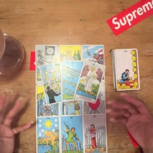 SAGITTARIUS NOVEMBER 2022 IN STEP