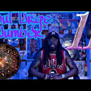 Soul Urge Number 11 ✨1️⃣1️⃣ #heartsdesire #soulurge #numerology #astrofinesse