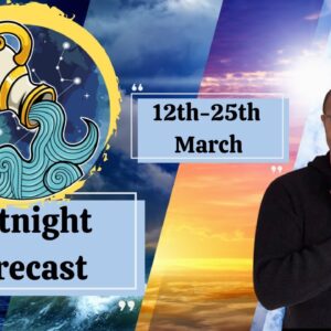 ♒️ AQUARIUS Fortnightly Check-in - 12th-25th March - #reydiantaquarius #aquariustarot