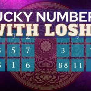 LOSHU GRID LESSON 2 | Lo Shu Square Numerology | Aditi Ghosh