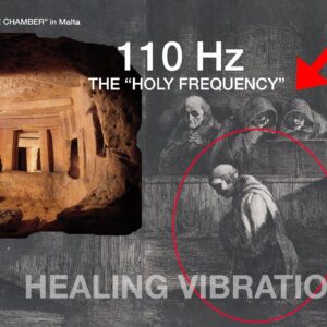 "The RIGHT FREQUENCY Heals Everything in Your Body"