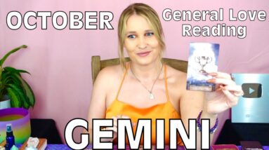 GEMINI: “THEIR WHOLE WORLD CHANGED THE MOMENT THEY MET YOU GEMINI!!”