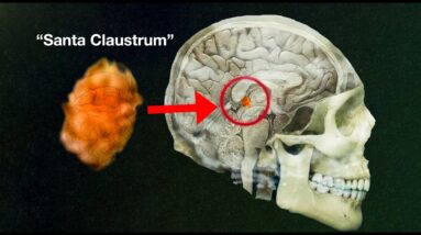 Santa Claus is in Your Brain, FOR REAL (hidden knowledge)