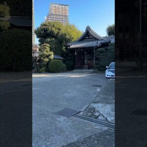 Finding peace during Mars retrograde ￼