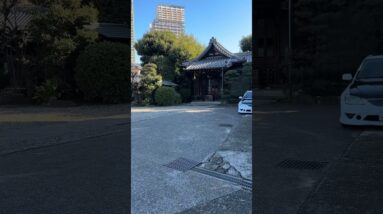 Finding peace during Mars retrograde ￼