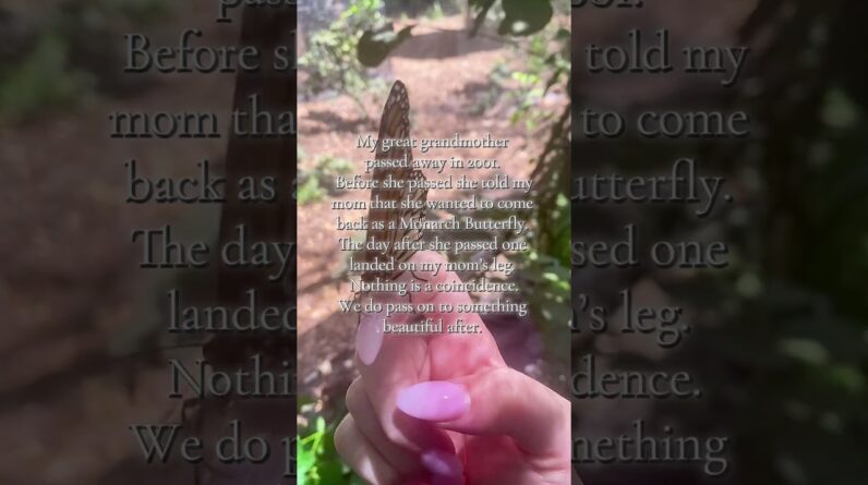 I believe in something greater, and I see the signs of it ALL the time 🦋✨ #signs #spirituality