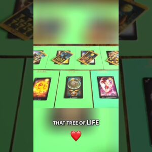 Taurus: 2029 — Whatever Is Not For You Will Be Denied